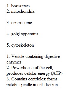 Lecture Exercise 1